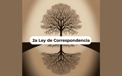 🔄 Ley de Correspondencia – Como es adentro, es afuera